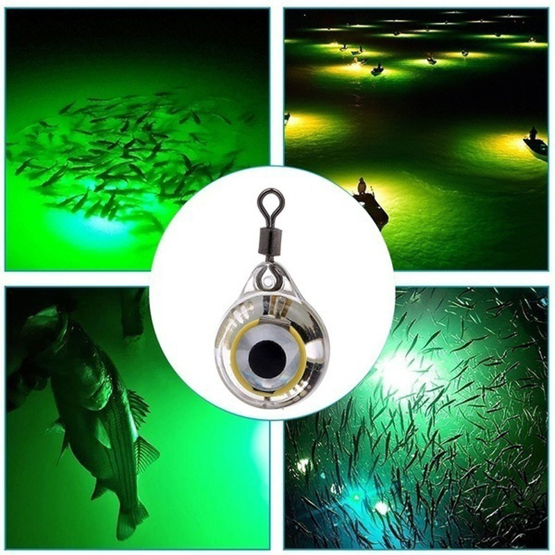 FLYSAND Angeln Lichter Nacht L – Fishing Lure Accessories Bewertung und Preis